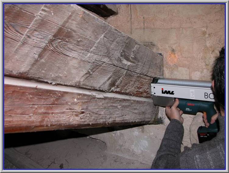 Indagini_sul_legno